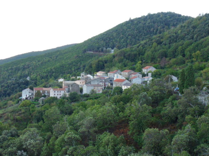 Pancheraccia