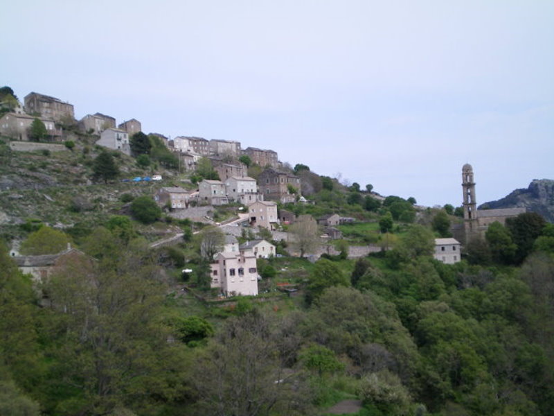 Pianellu