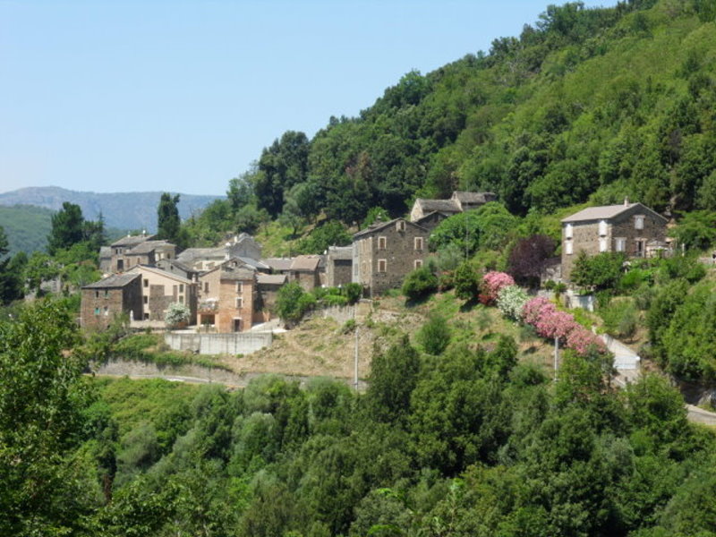 Piazzole