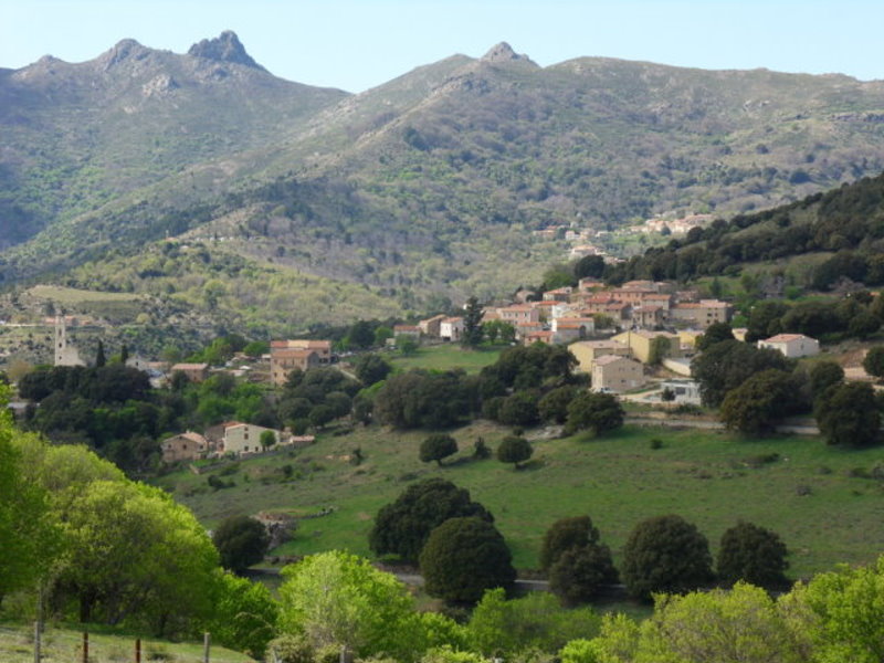 Vallica