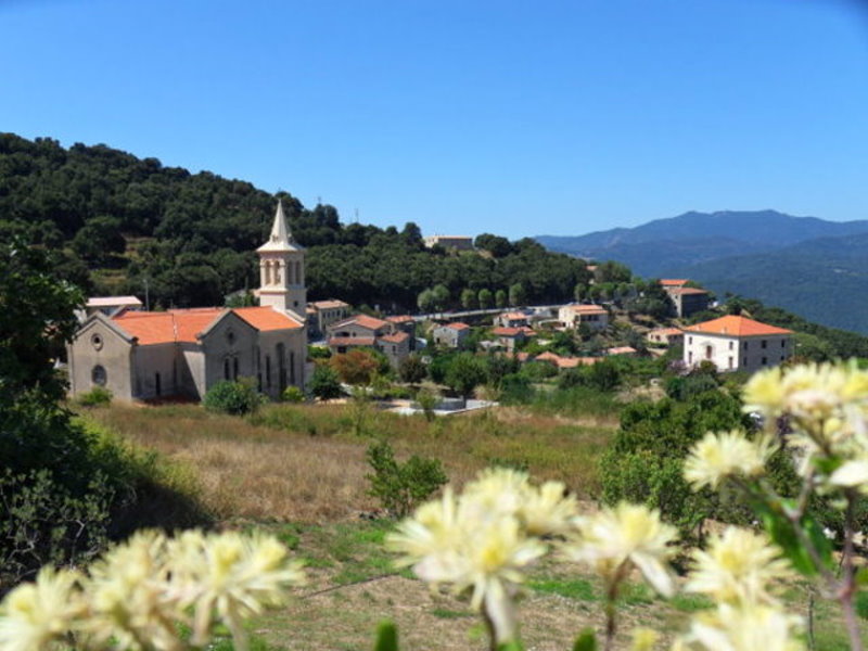 Grossetu Prugna